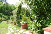 /album/il-salotto-nel-verde/img-2784r-jpg/