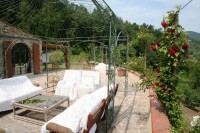 /album/il-salotto-nel-verde/img-3568r-jpg/