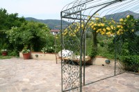 /album/il-salotto-nel-verde/img-8383r-jpg/