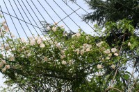 /album/il-salotto-nel-verde/img-8483r-jpg/