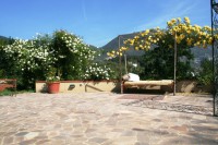 /album/il-salotto-nel-verde/img-8668r-jpg/