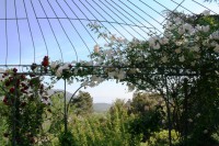 /album/il-salotto-nel-verde/img-8678r-jpg/