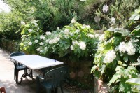 /album/il-salotto-nel-verde/img-8680ar-jpg/